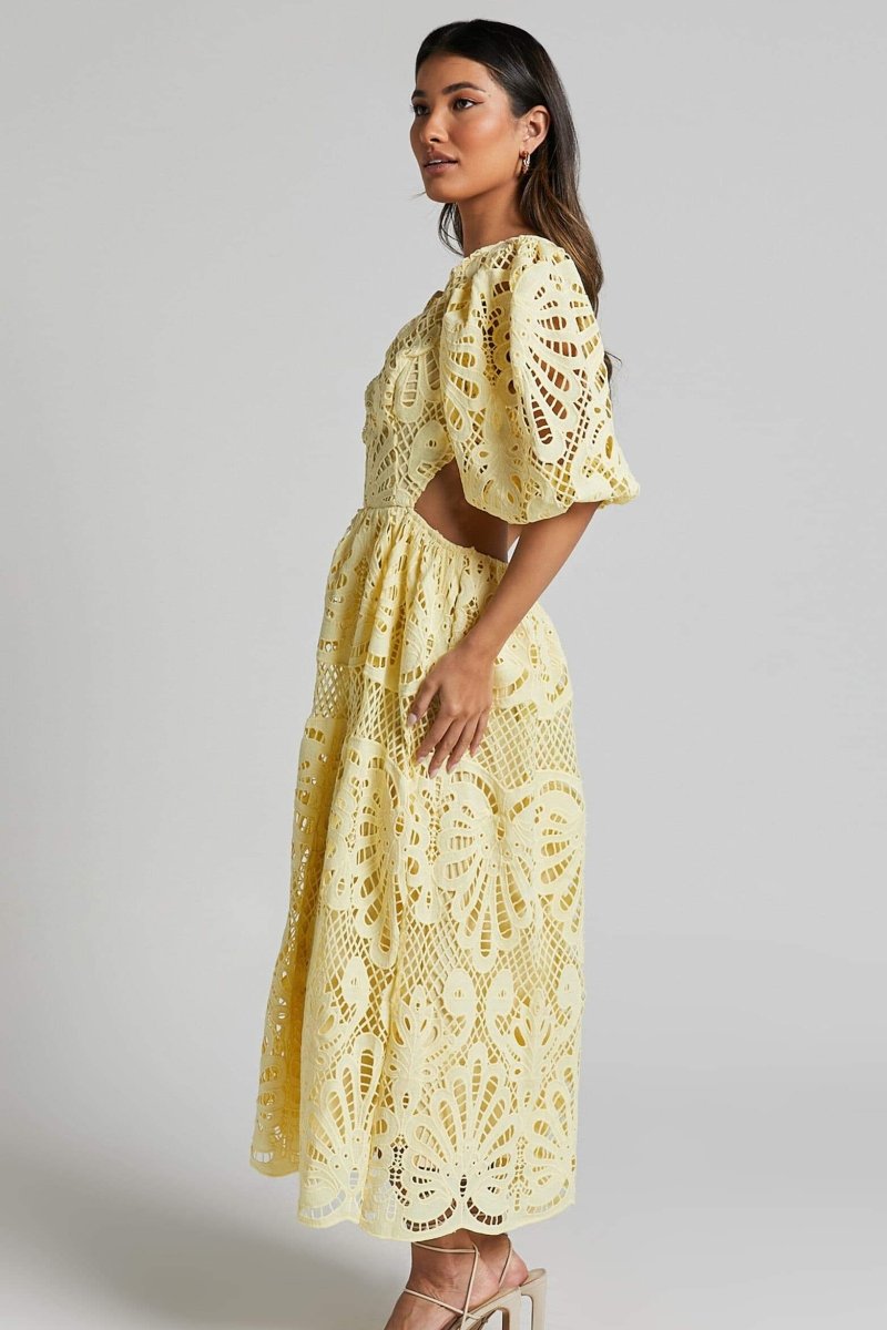 Sandra Embroidered Lace Cut-out Midi Dress