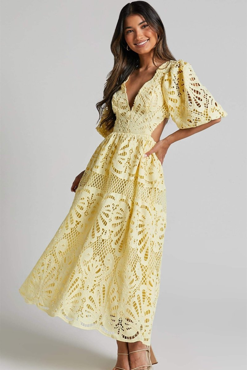 Sandra Embroidered Lace Cut-out Midi Dress